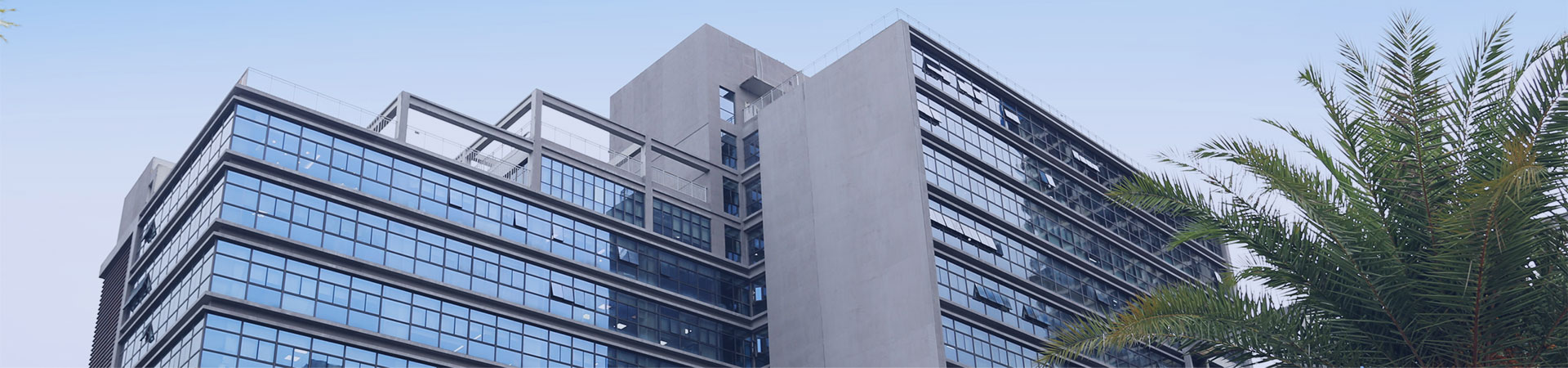 Company Introduction