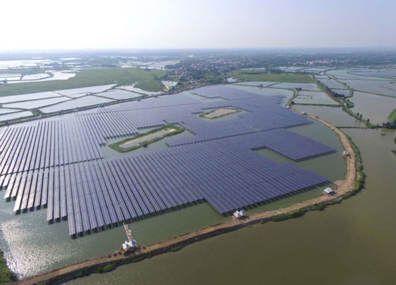 Zhanjiang 20MWp Fishery Photovoltaic Complementary Power Generation Project